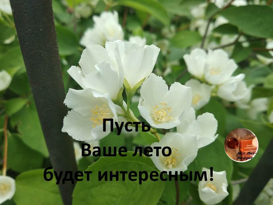 пожелание от авторв