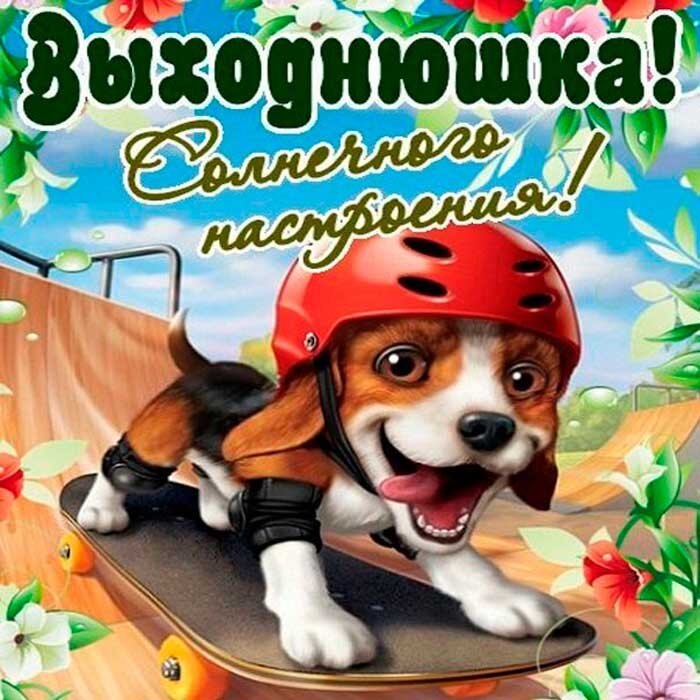 Воскресный юмор в картинках