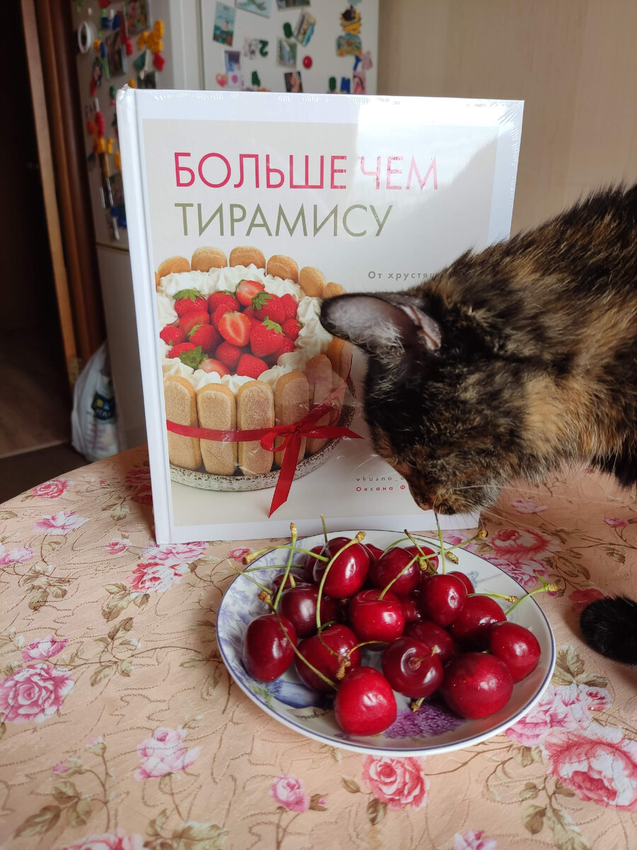 За секунду до моего крика "Брысь со стола"