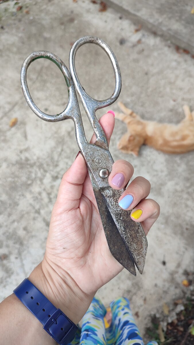 Раритетные бытовые ножницы пр-во СССР