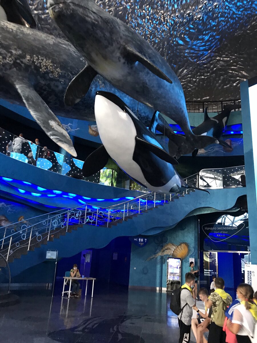 Вход в Океанариум