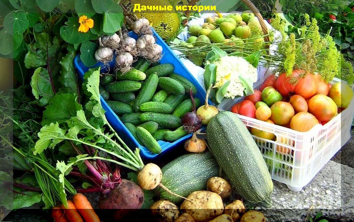 https://vk.com/photo-159774511_457254577