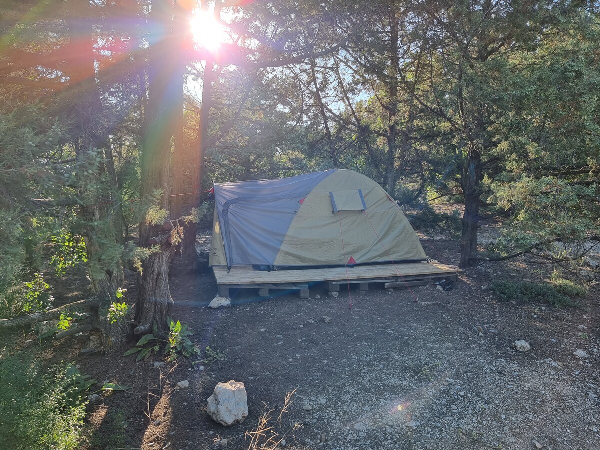 На Инжире теперь будут сдавать вот такие поддоны за 350 рублей/сутки