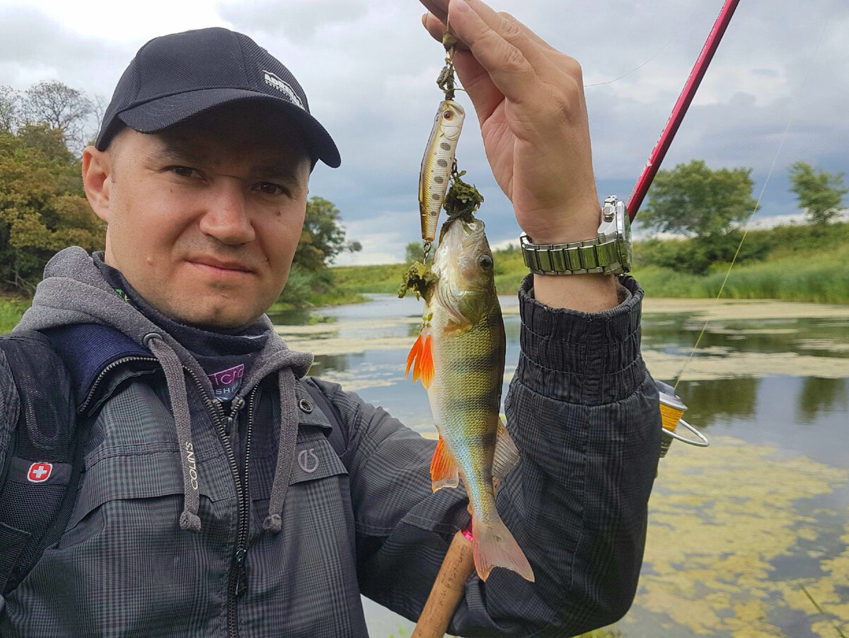 Оказывается под слоем ряски полно рыбы! Смотрим. | Рыбацкая душа | Дзен