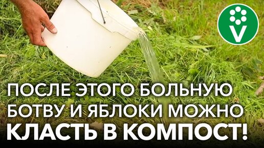 Télécharger la video: Горячий компост: все быстро перегниет, а от болезней и вредителей не останется следа. Чем пролить для обеззараживания и ускорения созревания