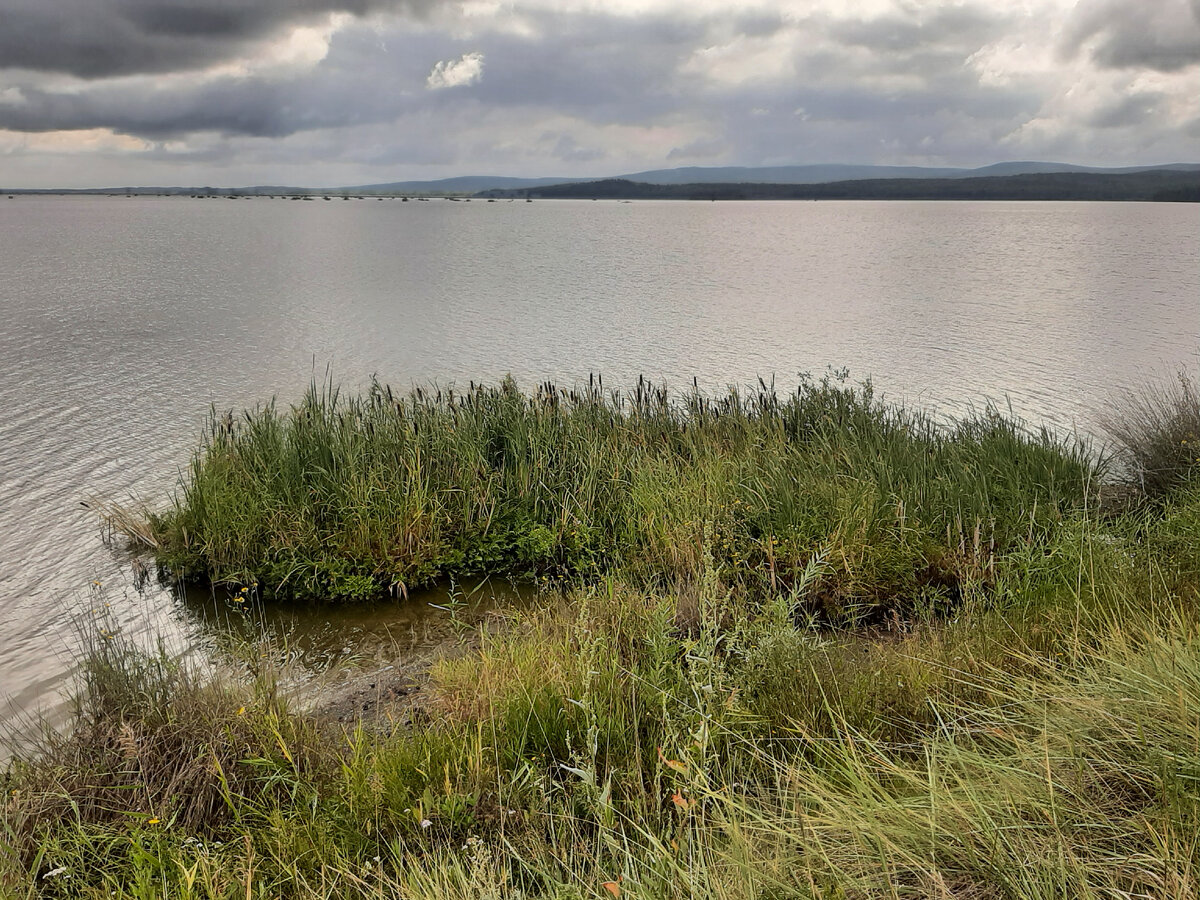 Маленький бродячий островок прибился к берегу. Точки на горизонте - еще "стадо" островков