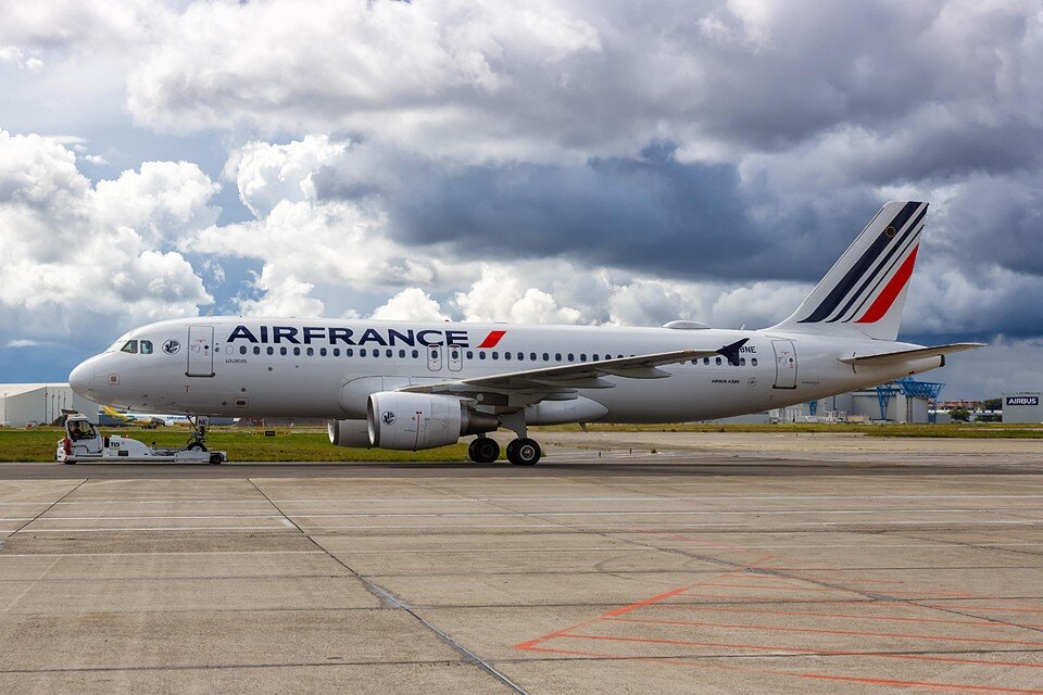     Несмотря на потасовку, полет прошел в штатном режиме и лайнер благополучно приземлился  GLOBAL LOOK PRESS