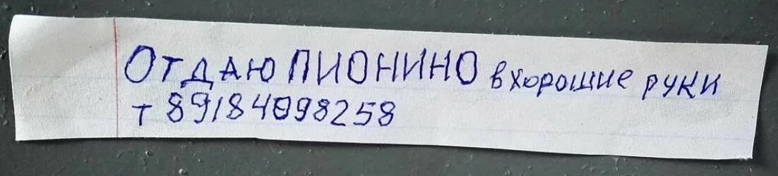 Здесь и далее - фото из открытых источников