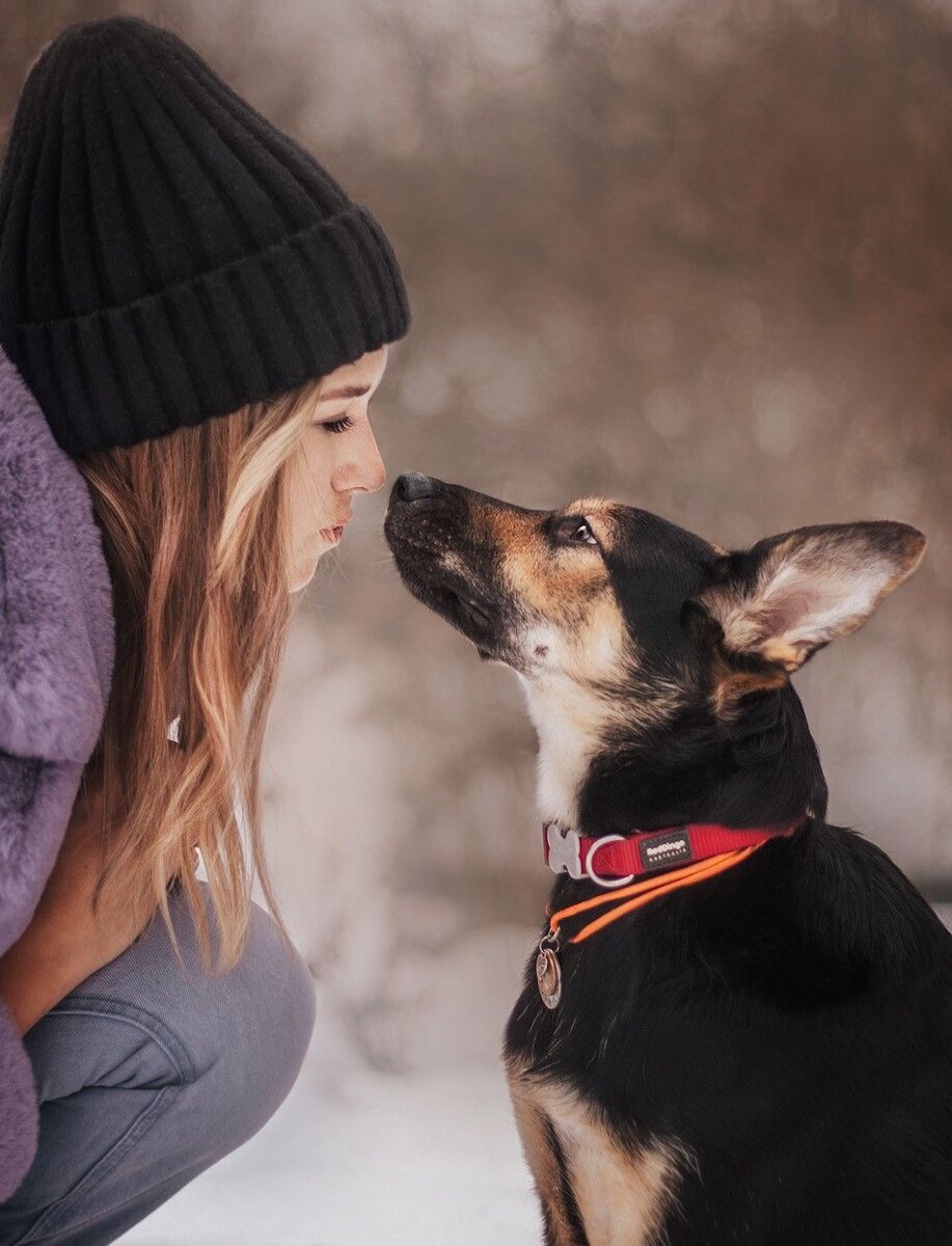 Фото- собственность канала