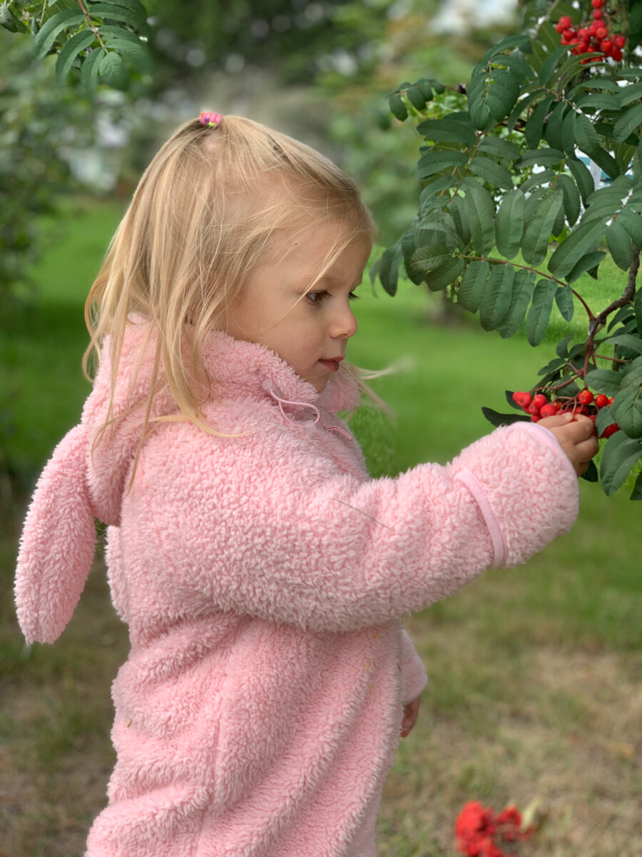 Альбина и рябина