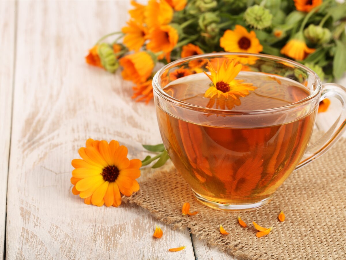 Фото из открытых источников https://s2.best-wallpaper.net/wallpaper/1920x1440/1809/One-cup-of-tea-calendula_1920x1440.jpg