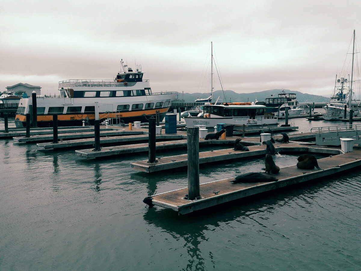 Пирс 39 в Сан-Франциско 