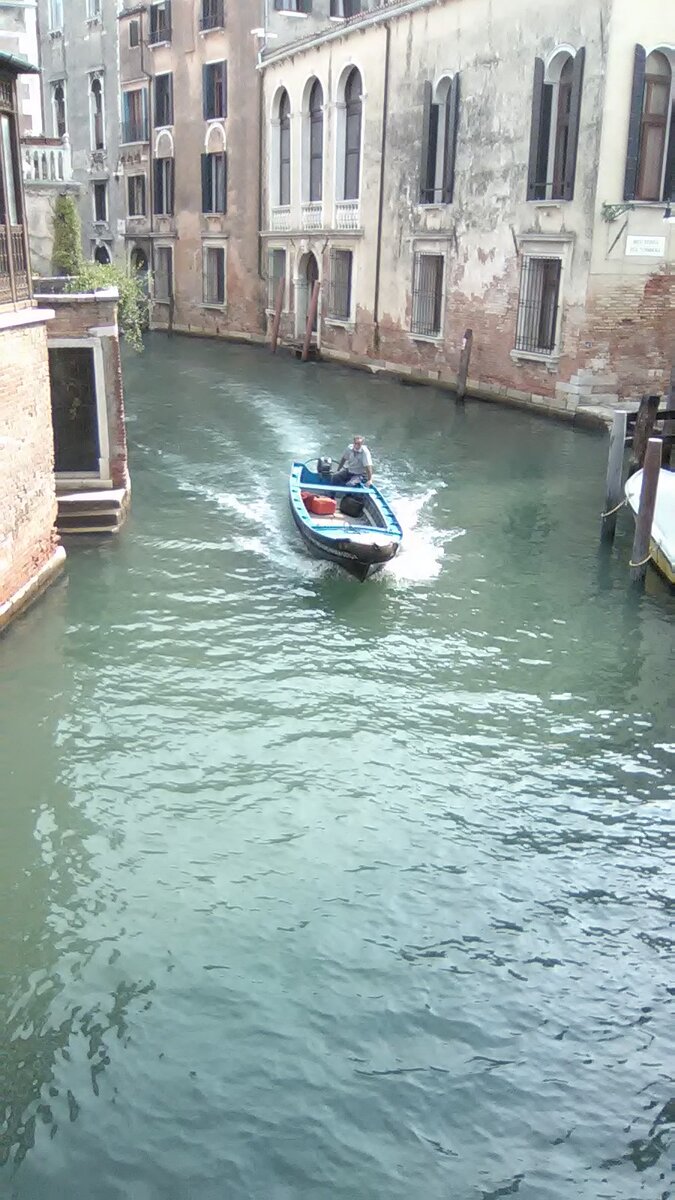 Вот как этот местный макаронник, летит по своим делам 