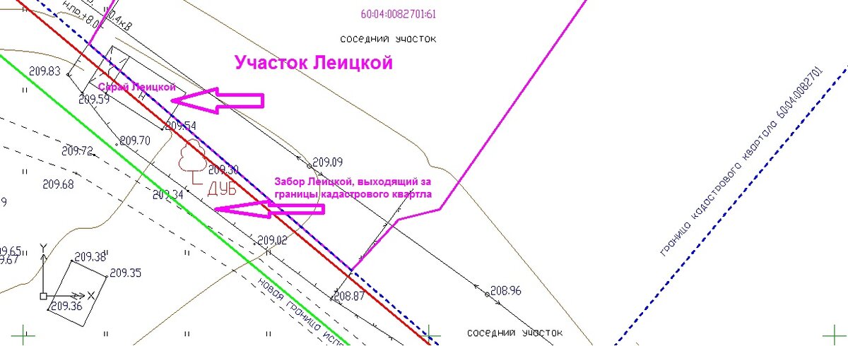 между зеленой и красной полосой территория, изъятая у нас под дорогу, на ней на половину стоит сарай Леицкой, огороженный забором и столетний дуб.
