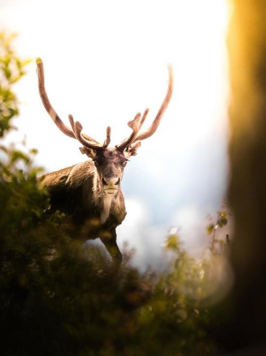     ФОТО UNSPLASH.COM