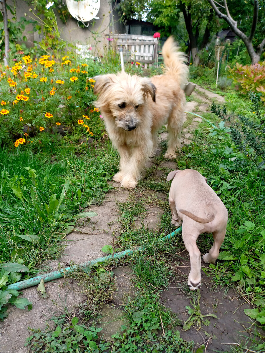 Лева с воспитанником
