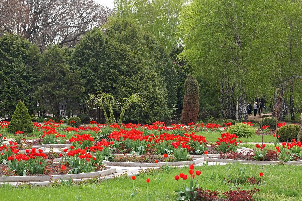 Ботанический сад в Тирасполе