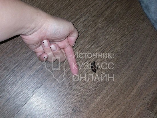     Фото: Кузбасс-Онлайн