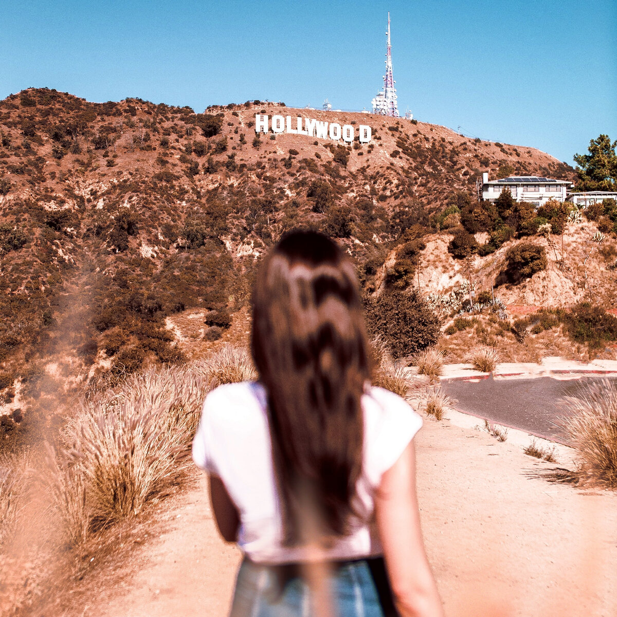 Фото: Vitaly Sacred (Unsplash)