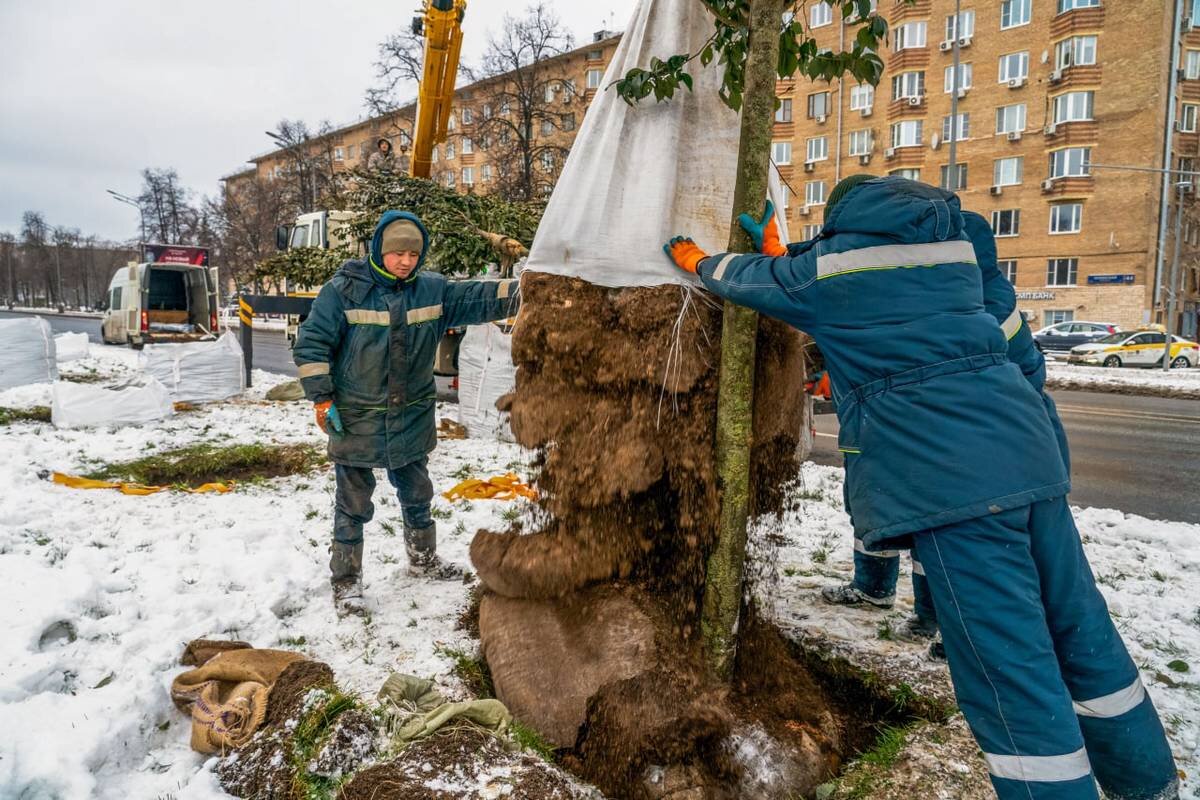    Фото: Telegram / Городское хозяйство Москвы