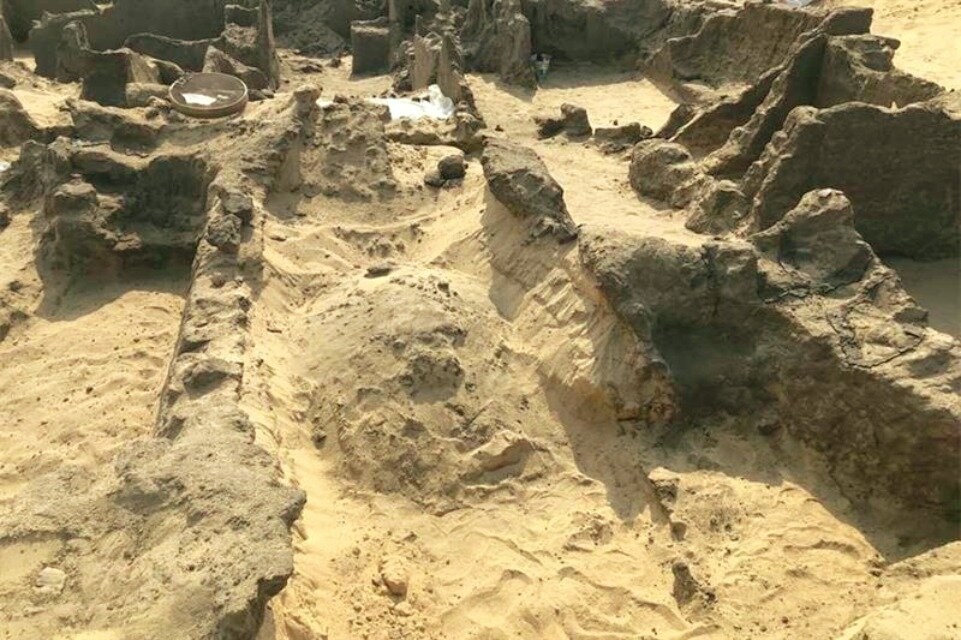 Египетская археологическая миссия раскопала новую часть некрополя Кувейсна в провинции Менуфия, которая изобилует мумиями с золотыми языками. (Министерство туризма и древностей Египта)