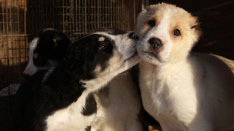 Создать карусельДобавьте описание