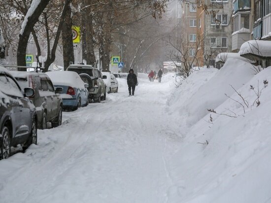     Фото: Густаво Зырянов / МК в Новосибирске