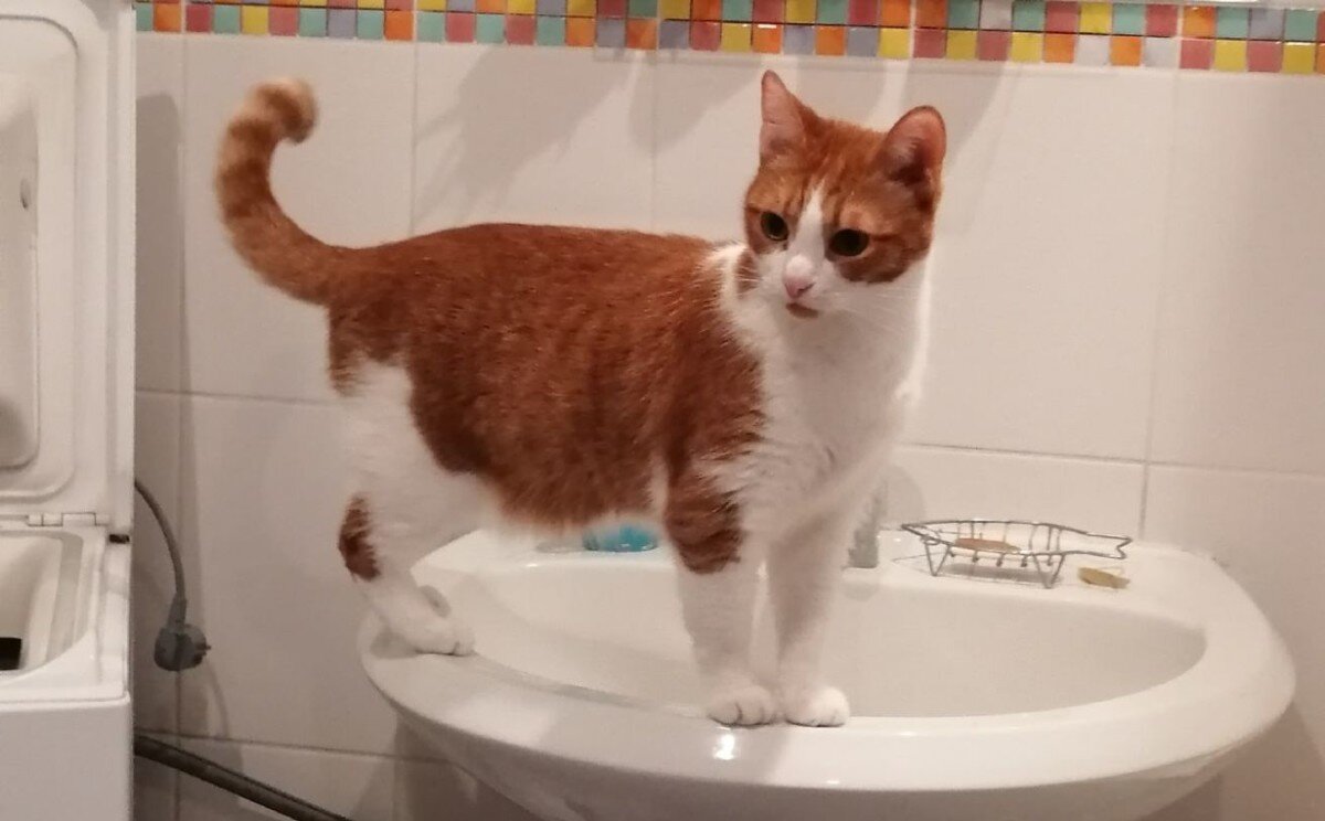 Фото из личного архива