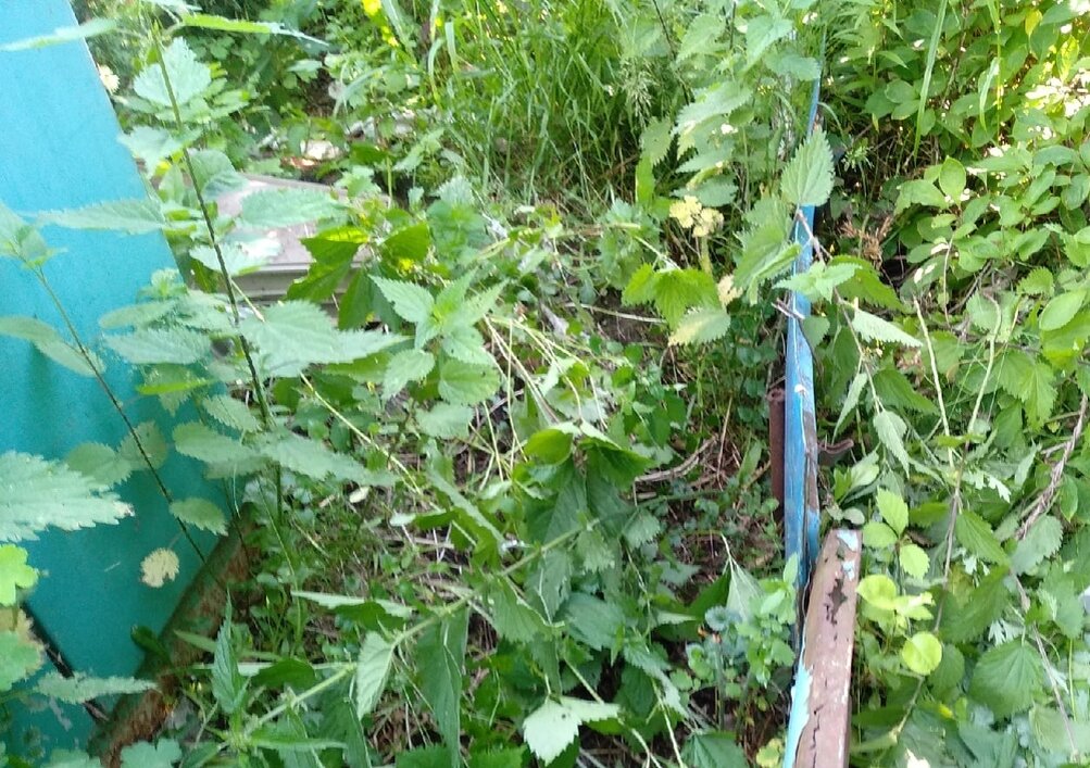 Справа со стороны автомобильных покрышек наш участок
