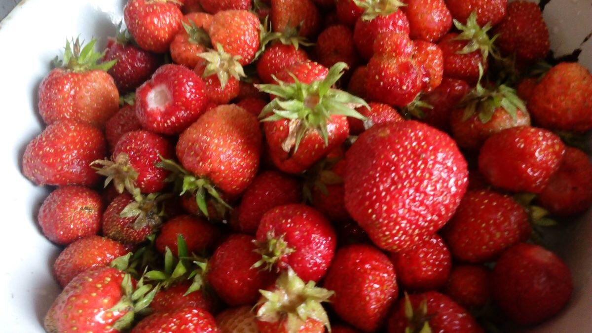 Как сохранять долго клубнику свежей. Фото автора