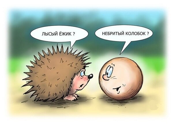 Из Интернета