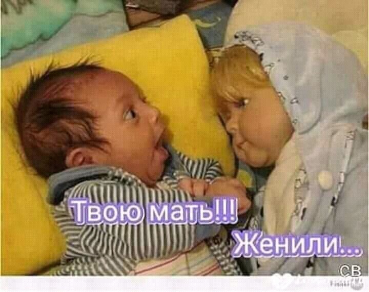Картинка из интернета