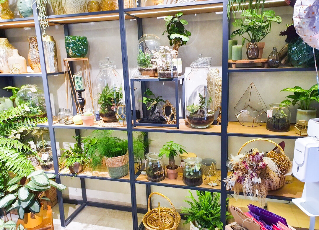 Стильные и красивые стеллажи с растениями, флорариумами, кокедамами и различными композициями