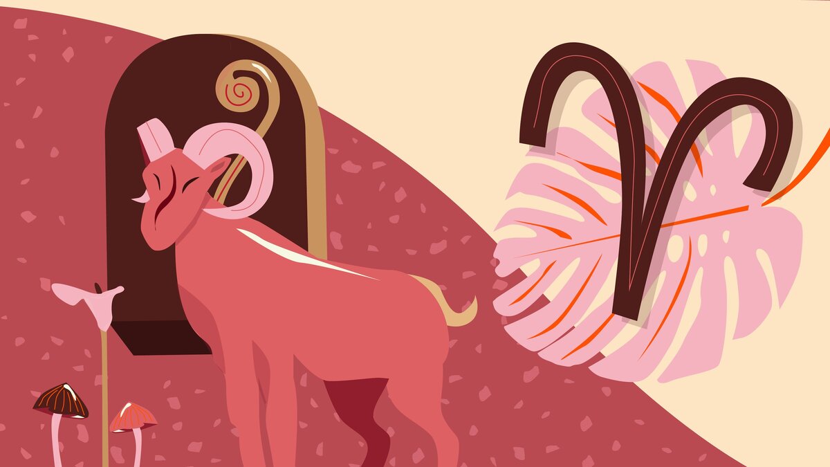 фото из свободного источника