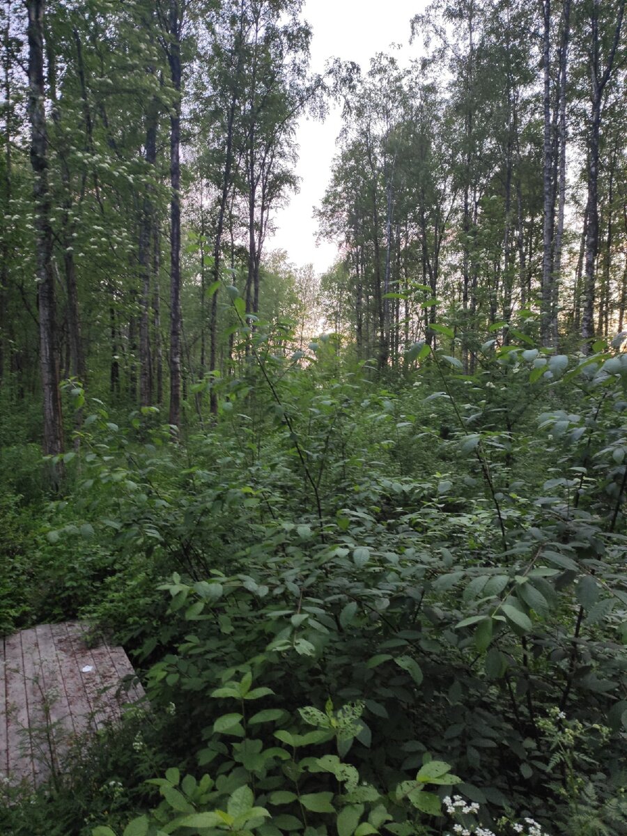 На одном из фото место призыва, если есть желание, можно потренироваться и понять, на каком именно