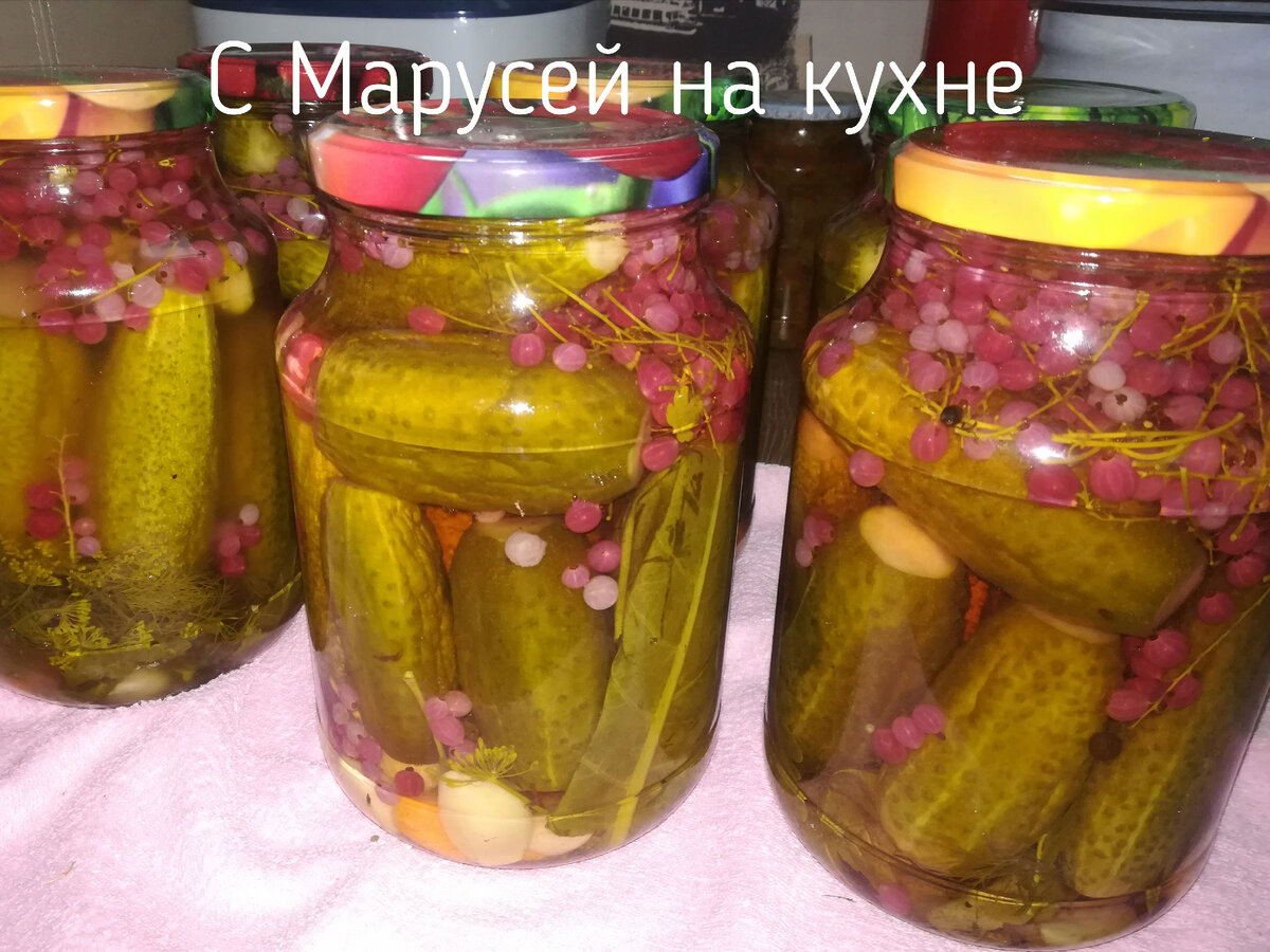 Рецепт маринованных огурцов на зиму в банках с красной смородиной