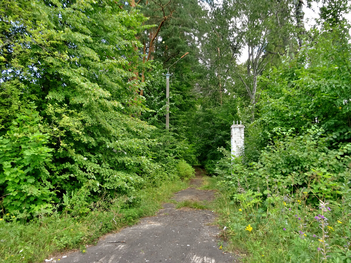 Въезд в лагерь