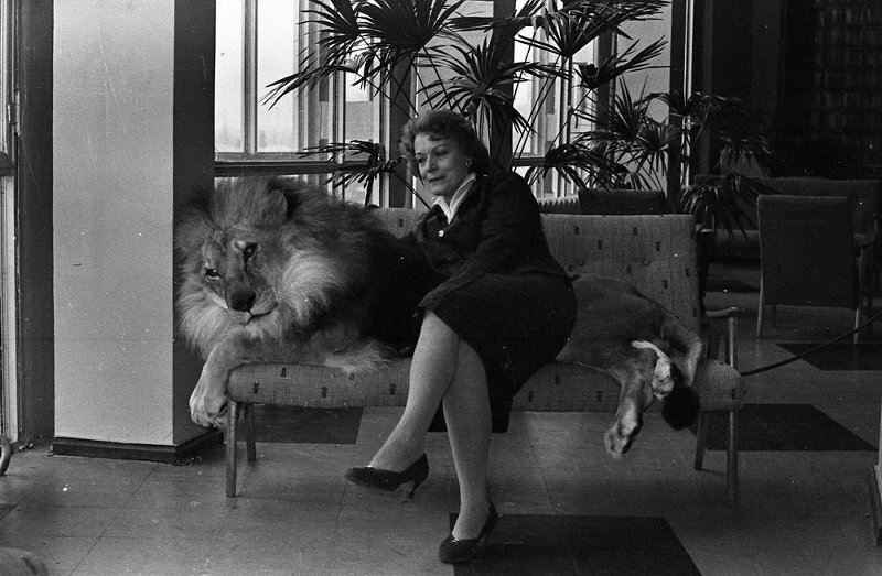 "Россия - Моя история" Санкт-Петербург Официальное сообщество СПб ГБУК "Музейно-выставочный центр" Исторический парк .. 2024 ВКонтакте