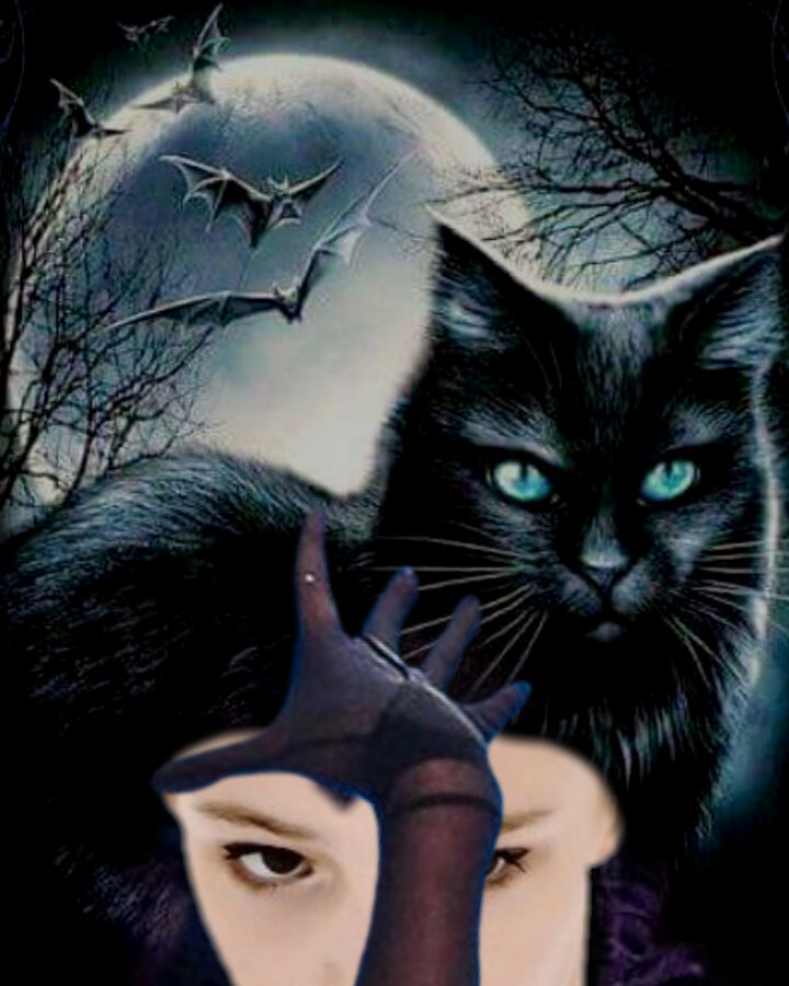 Для создания коллажа использовались материалы из открытых источников