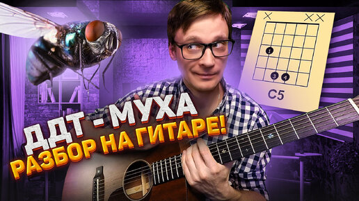 ДДТ Муха подробный разбор на гитаре 🎸 кавер табы аккорды