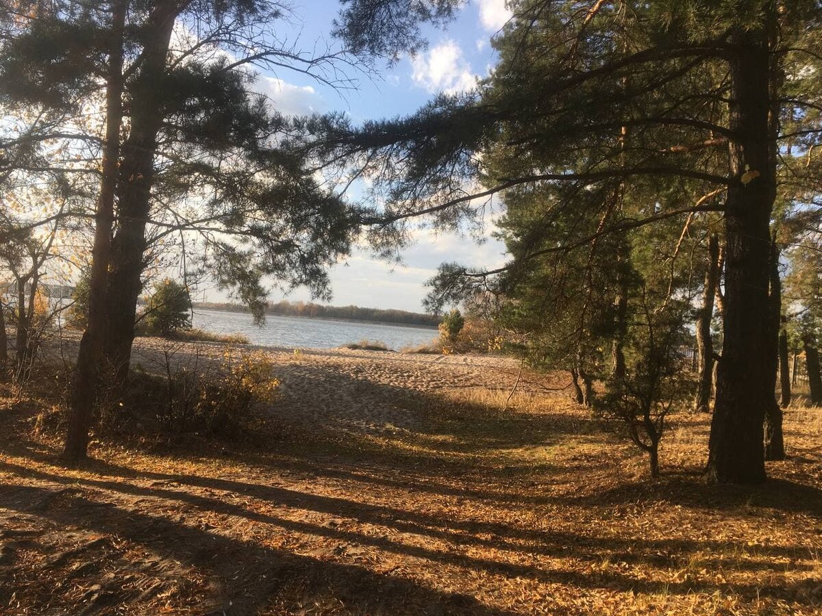 На липецком море очень приятно купаться летом.