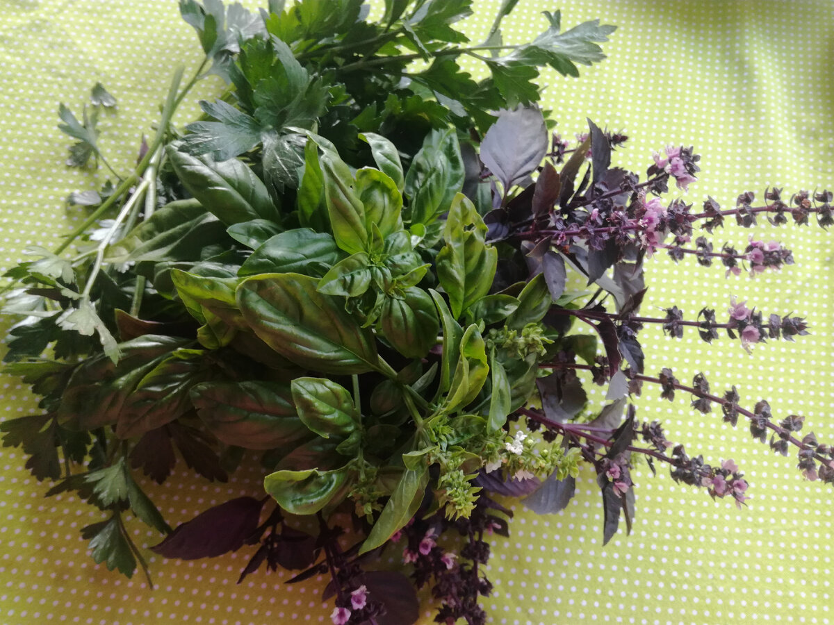 Зелень на салат