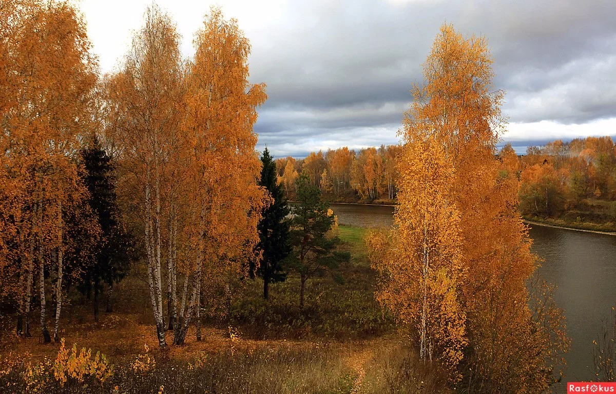 Саровский лес осень