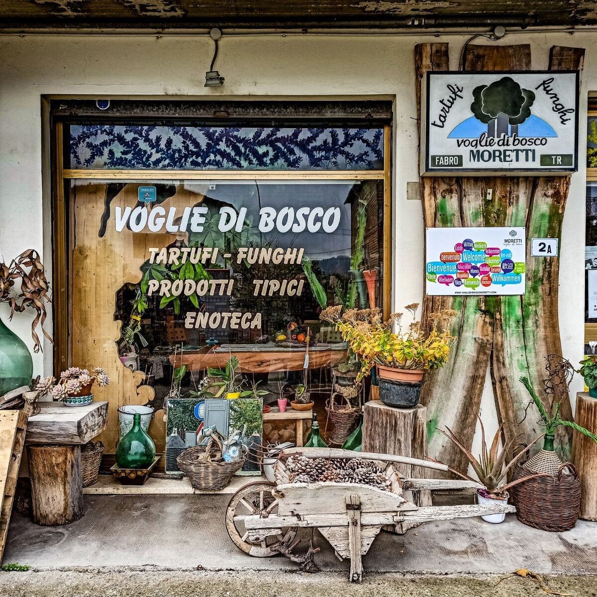 Voglie di Bosco - за трюфелем и истинно итальянским духом
