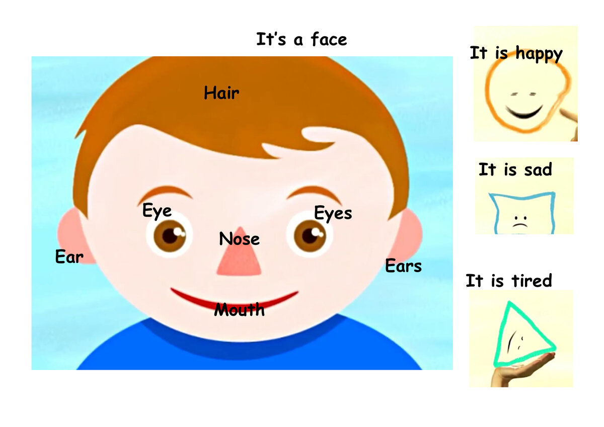 Tiny Love_Part 2_Picture vocabulary_1