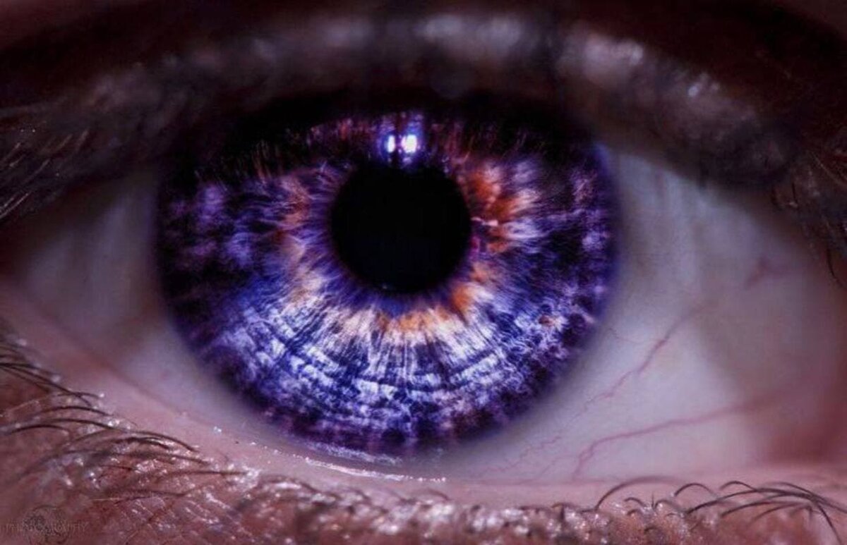 Темно фиолетовые глаза