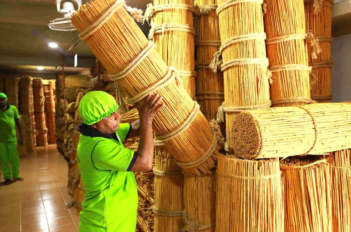 Производство цейлонской корицы. Фото из открытых источников.