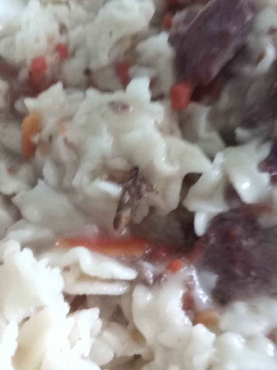 Макароны с мясной поджаркой, обед в тубдиспансере г. Губаха