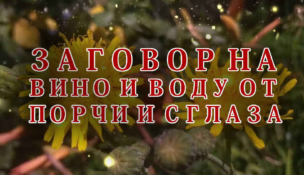 фото из открытого и общего доступа