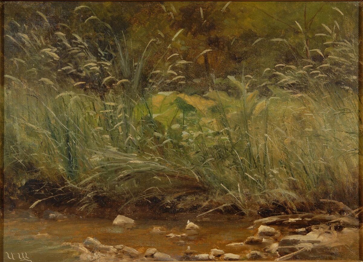 Шишкин И.И. Берег пруда. Конец XIX в. Из собрания ГВСМЗ